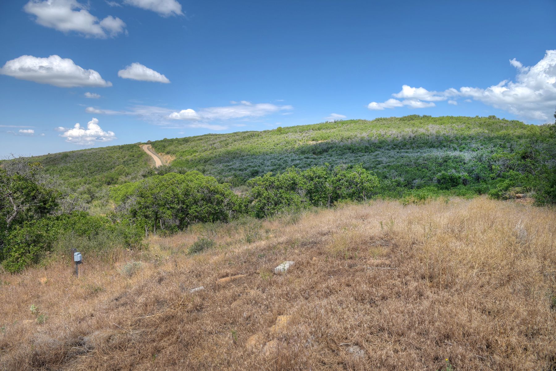  TBD Cross Creek Road, Hesperus, CO 81326 - 物件實景
