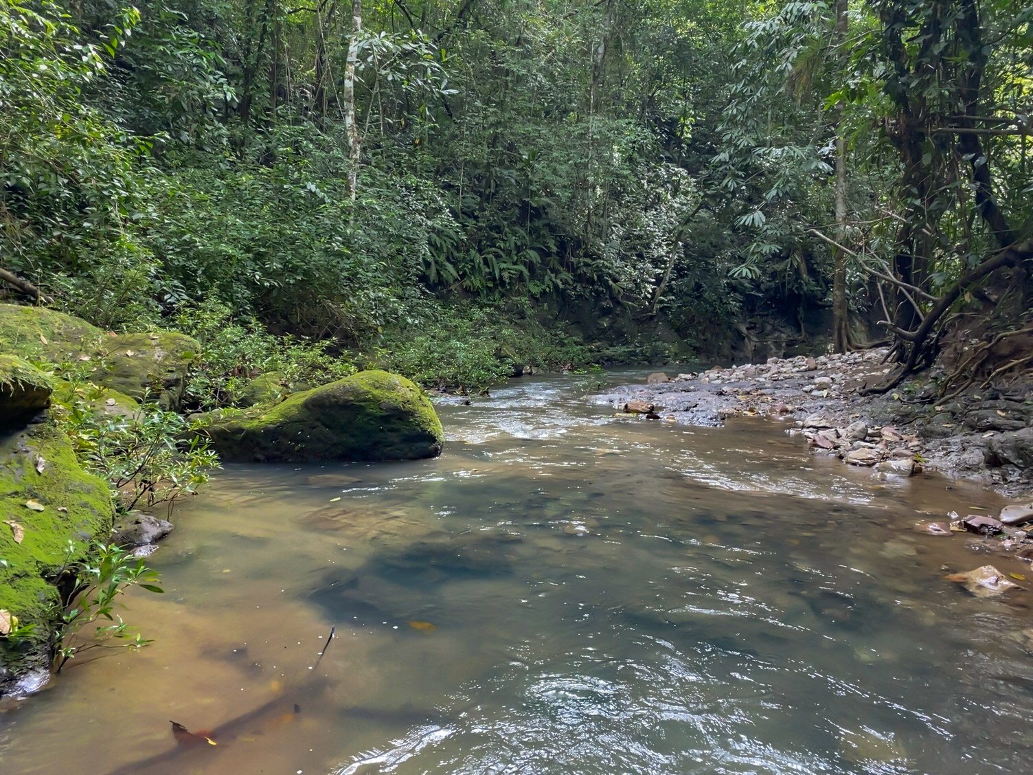 Las Delicias, Delicias, Puntarenas, CR, ,Land,For Sale,Las Delicias,1613556