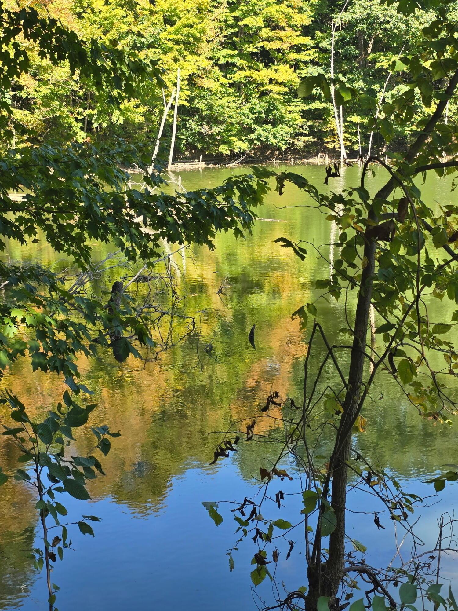 Cardington, Ohio, 43315, United States, 3 Bedrooms Bedrooms, ,2 BathroomsBathrooms,Residential,For Sale,1983191