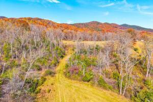 Fincastle, Virginia, 24090, United States, ,Residential,For Sale,1989448