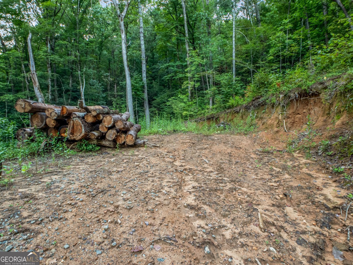 Clayton, Georgia, 30525, United States, ,Land,For Sale,1952018