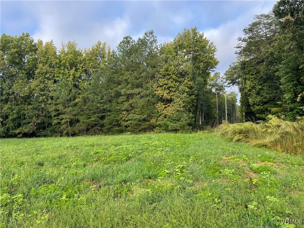 1105 Stewarts Road, Lanexa, Virginia, 23089, United States, ,Land,For Sale,1105 Stewarts Road,1632390