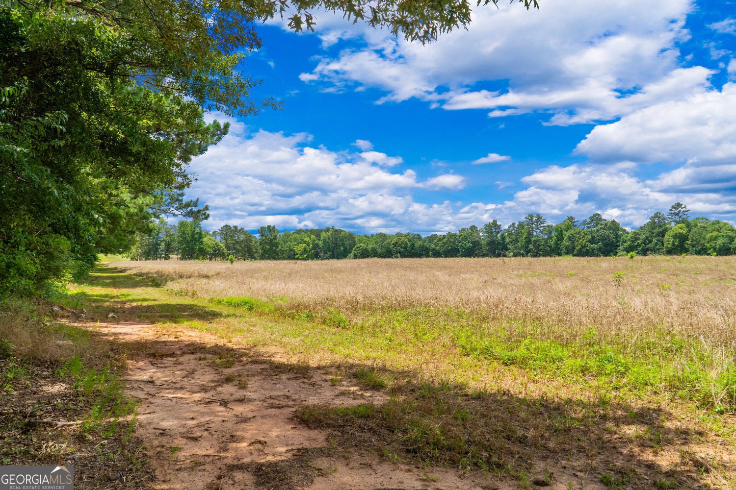 Social Circle, Georgia, 30025, United States, ,Residential,For Sale,1867942