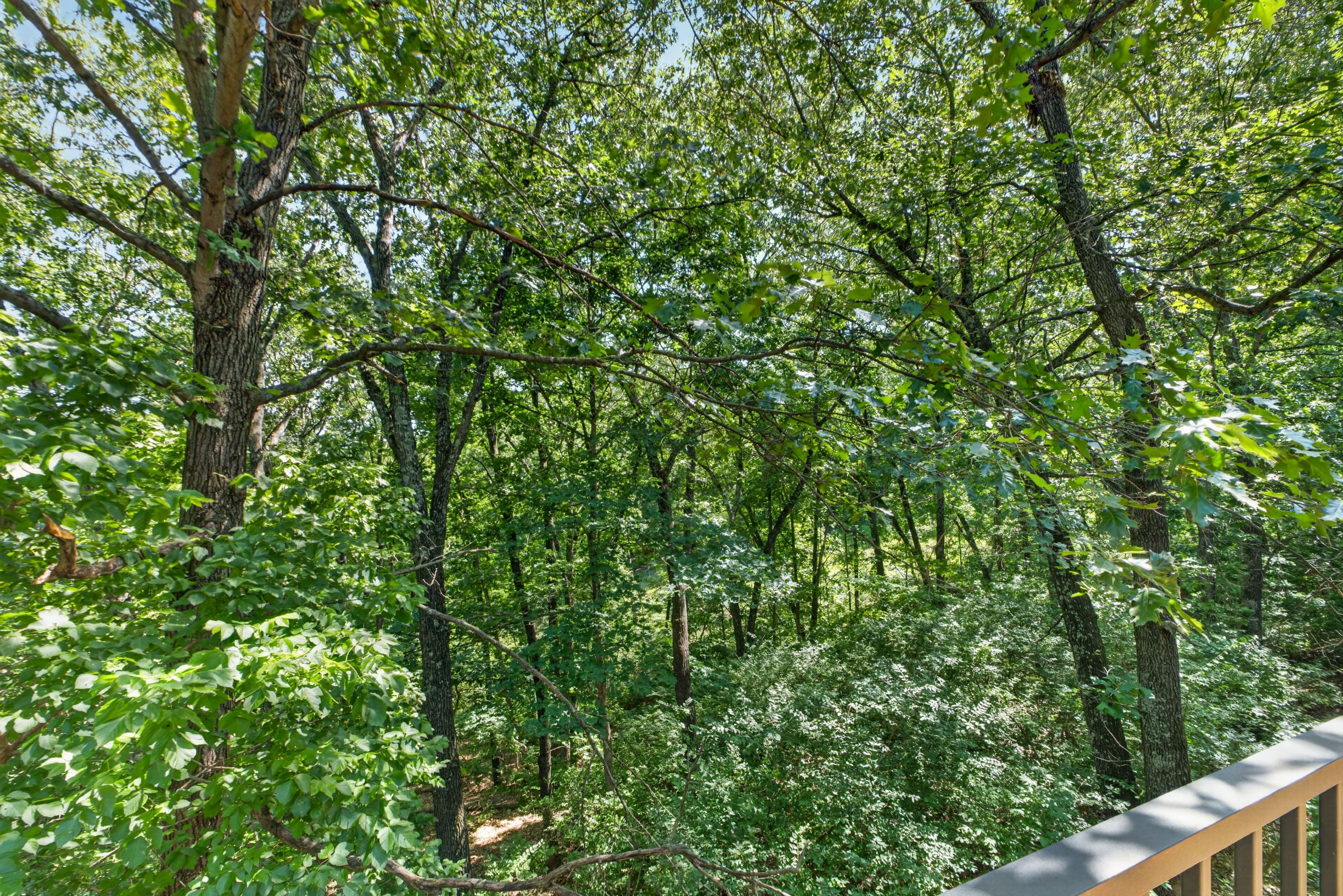  Welcome to Oak Bluff: Nature’s Serenity Meets Elegant Living - 物件實景