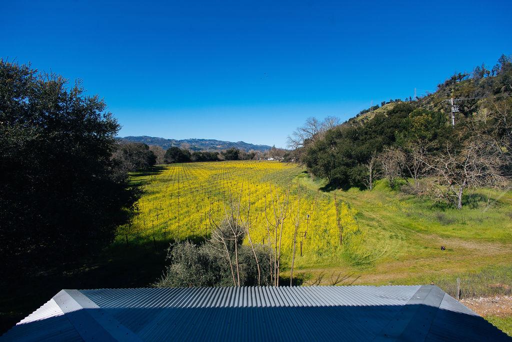 Saint Helena, California, 94574, United States, ,Residential,For Sale,1736432