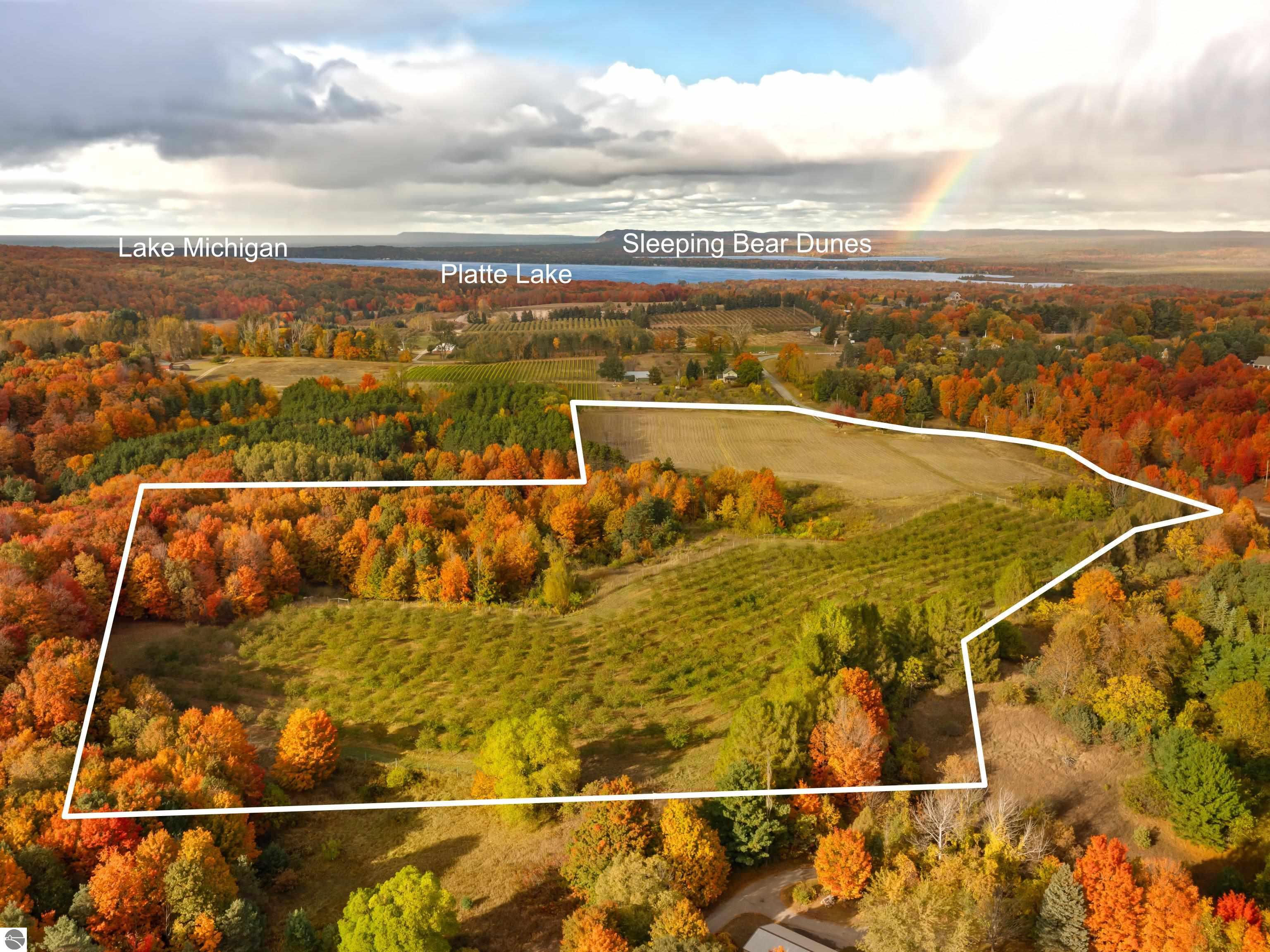 Beulah, Michigan, 49617, United States, ,Land,For Sale,1938552