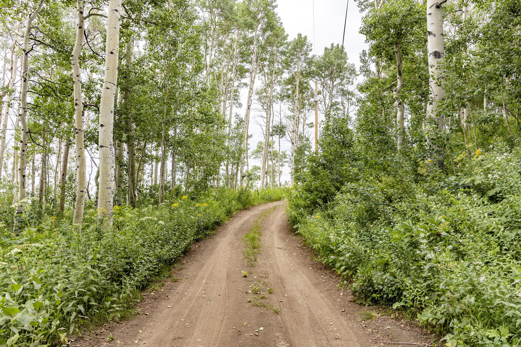  24 Acre Development Parcel in Bonanza Flats - 物件實景