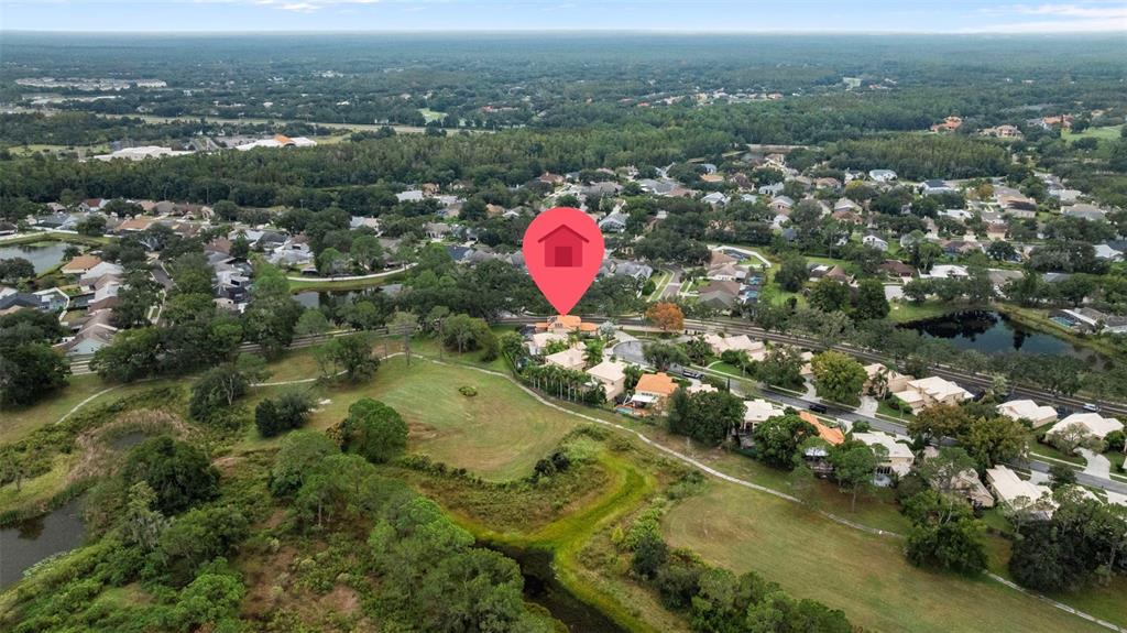 Tampa, Florida, 33647, United States, 4 Bedrooms Bedrooms, ,4 BathroomsBathrooms,Residential,For Sale,1983228