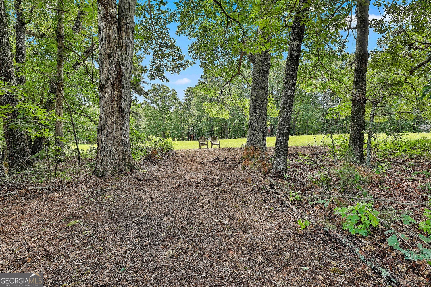 Tyrone, Georgia, 30290, United States, 4 Bedrooms Bedrooms, ,4 BathroomsBathrooms,Residential,For Sale,1922559