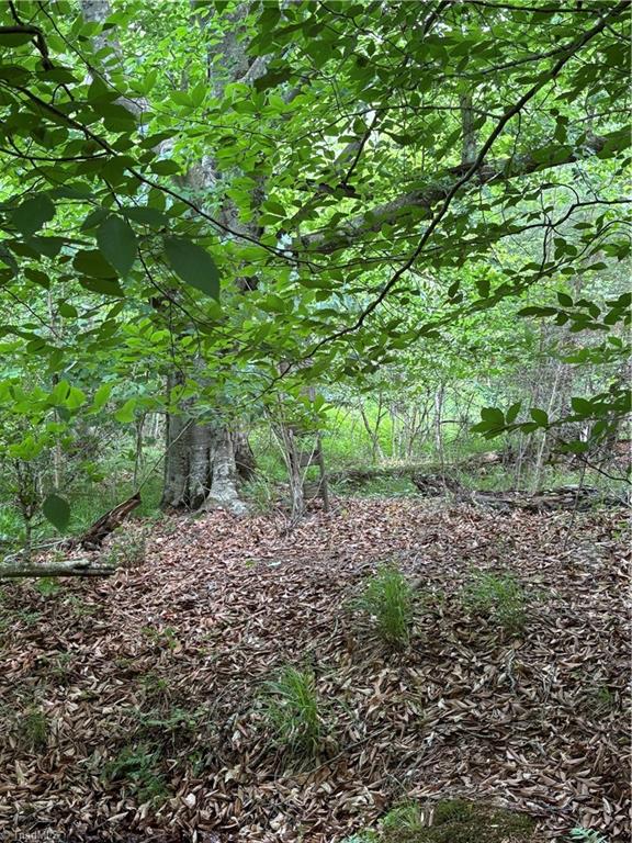 Pinnacle, North Carolina, 27043, United States, ,Land,For Sale,1829534