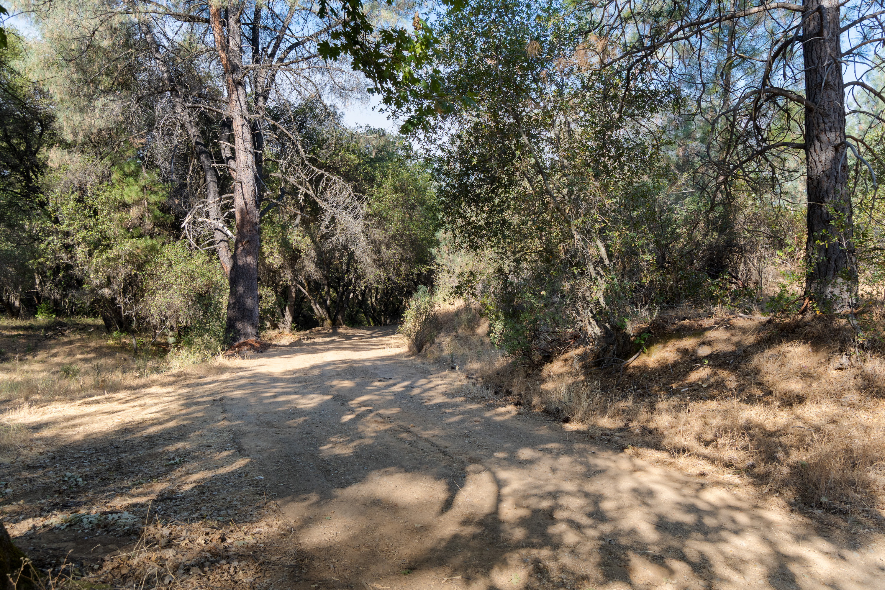  Historic Gold Rush-Era Ranch on 60 Acres in El Dorado County - 物件實景