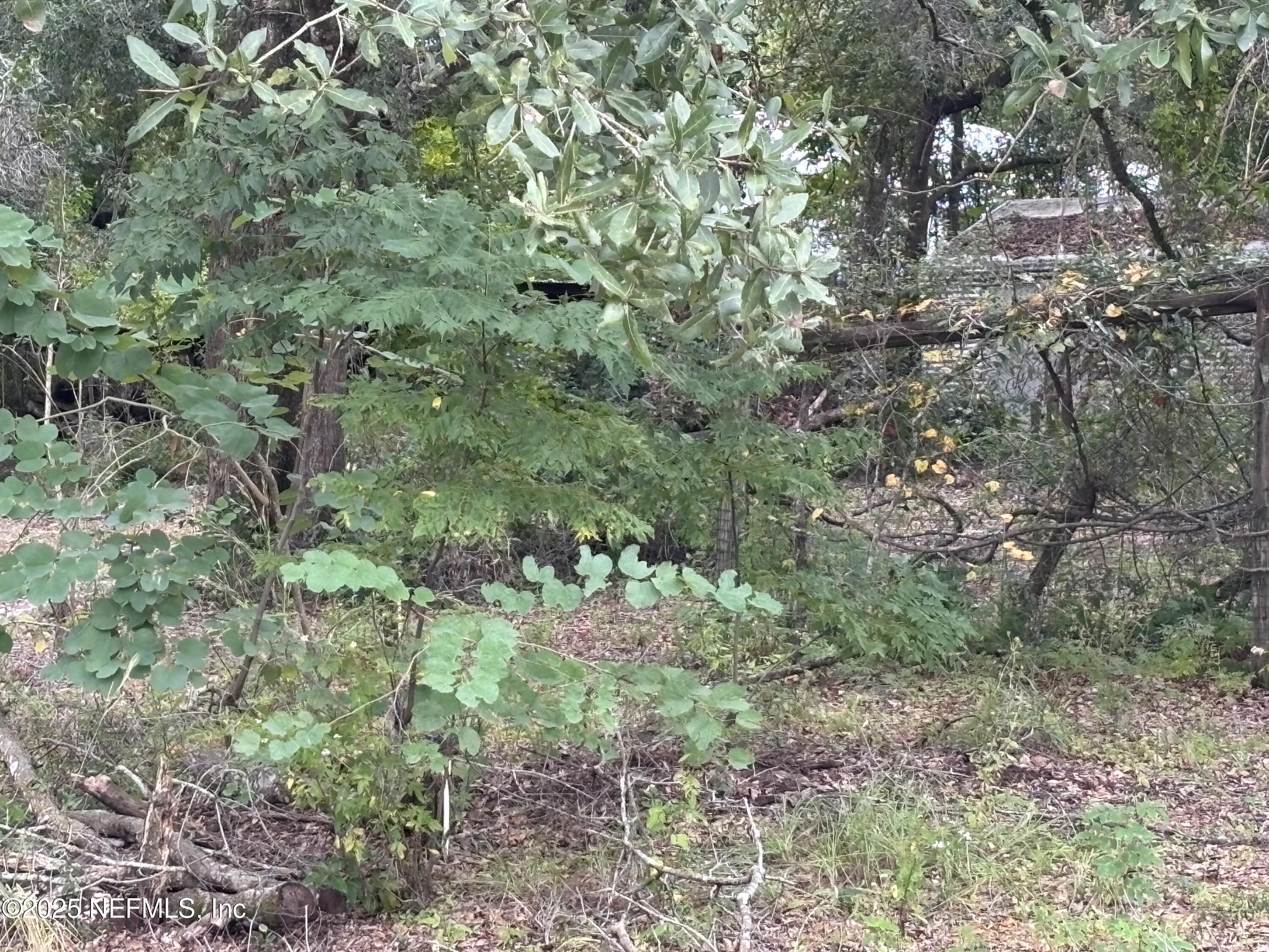 Apopka, Florida, 32712, United States, ,Land,For Sale,2003118