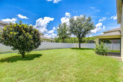 Land O Lakes, Florida, 34639, United States, 4 Bedrooms Bedrooms, ,3 BathroomsBathrooms,Residential,For Sale,1937225