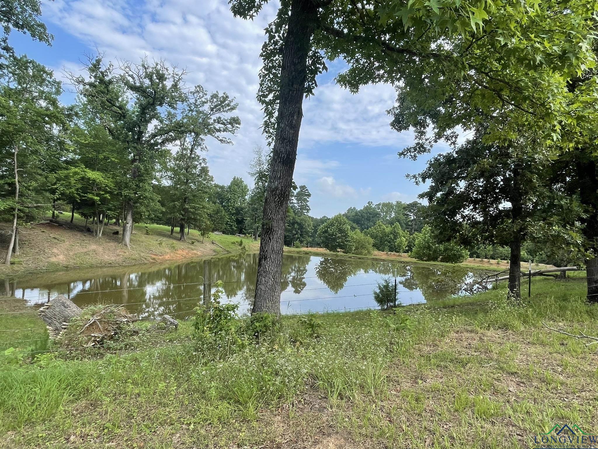 Gilmer, Texas, 75644, United States, 3 Bedrooms Bedrooms, ,2 BathroomsBathrooms,Residential,For Sale,1847700