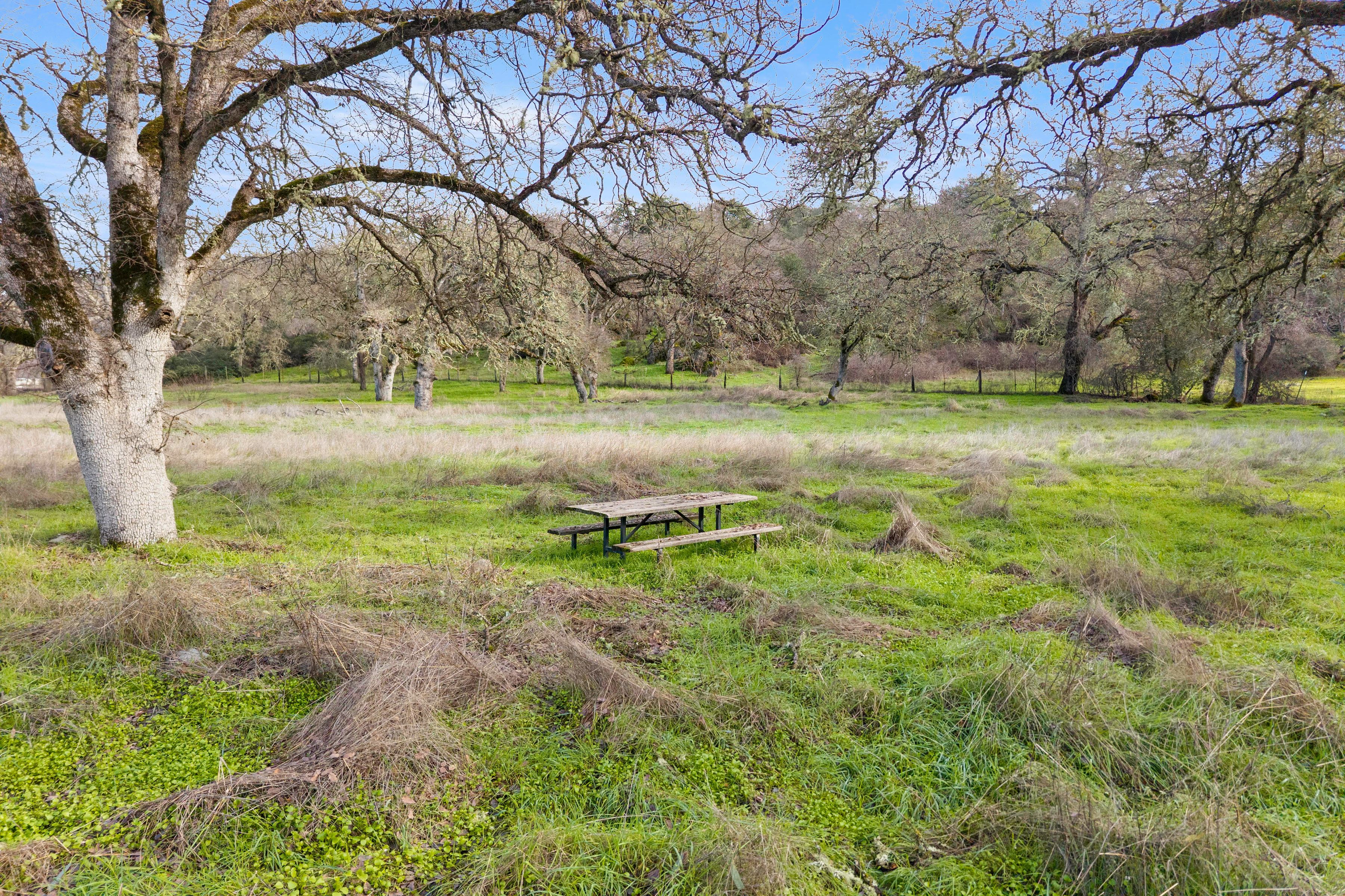  4962 Gaddy Lane - 物件實景