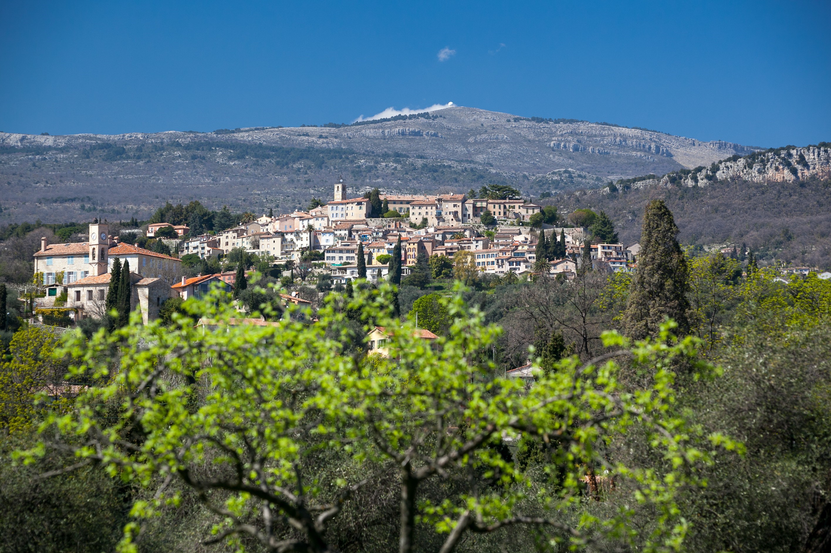  Exceptional provençal mas for sale in Opio: 3-hectare estate with 800 m² living… - 物件實景