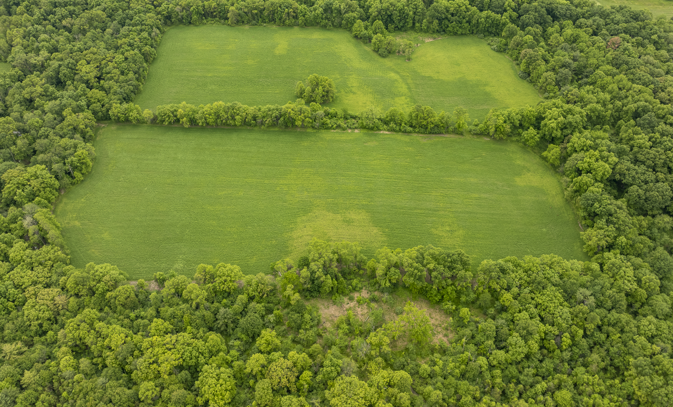  Extraordinary 34.5-Acre Hudson Valley Estate Site Near Rhinebeck - 物件實景