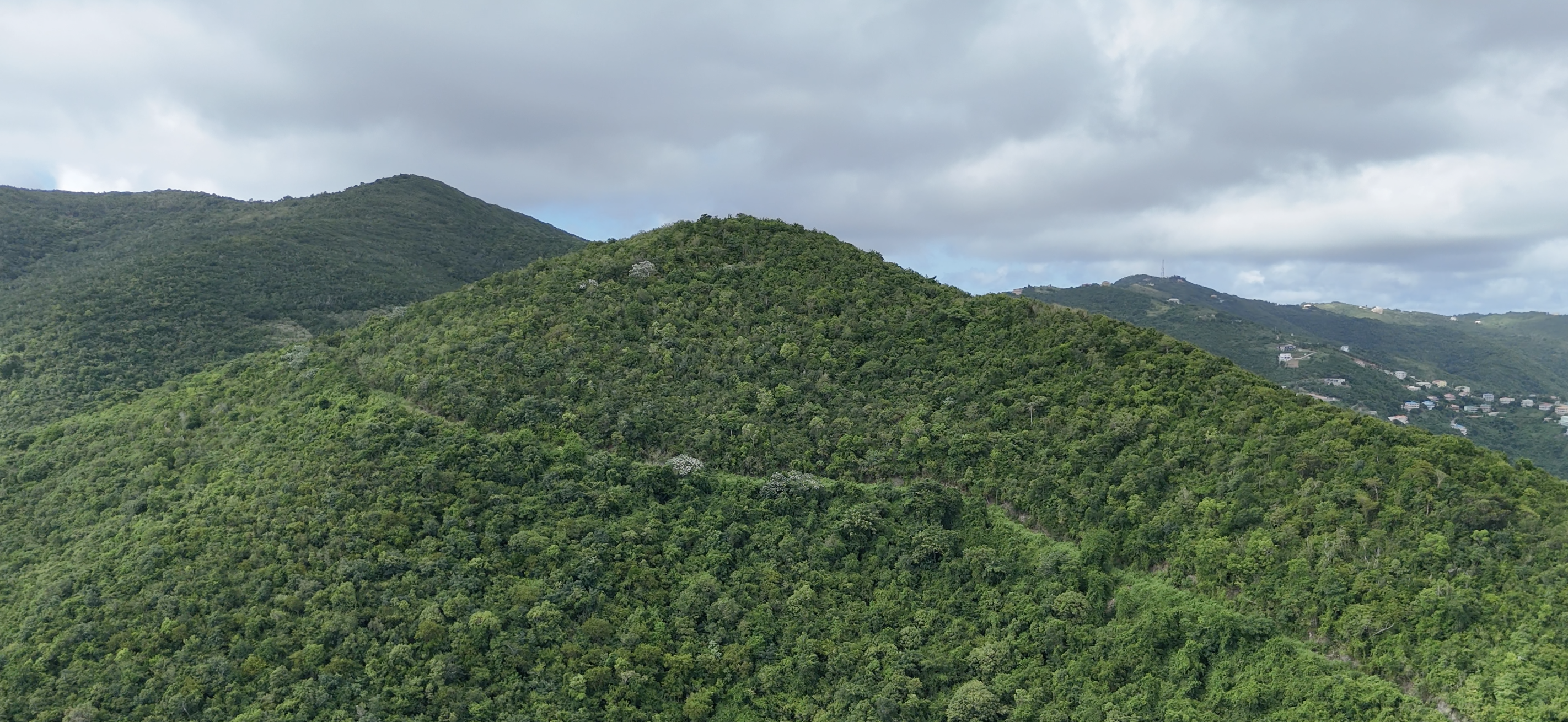 Tortola, VG, ,Land,For Sale,1987847