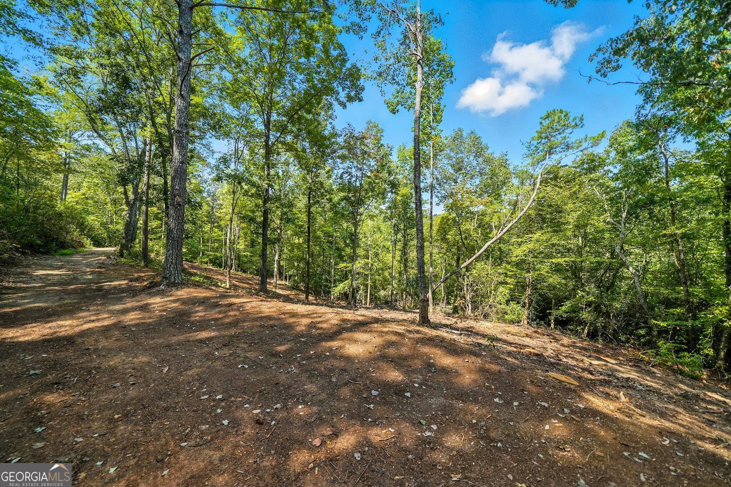 Waleska, Georgia, 30183, United States, ,Land,For Sale,1929808