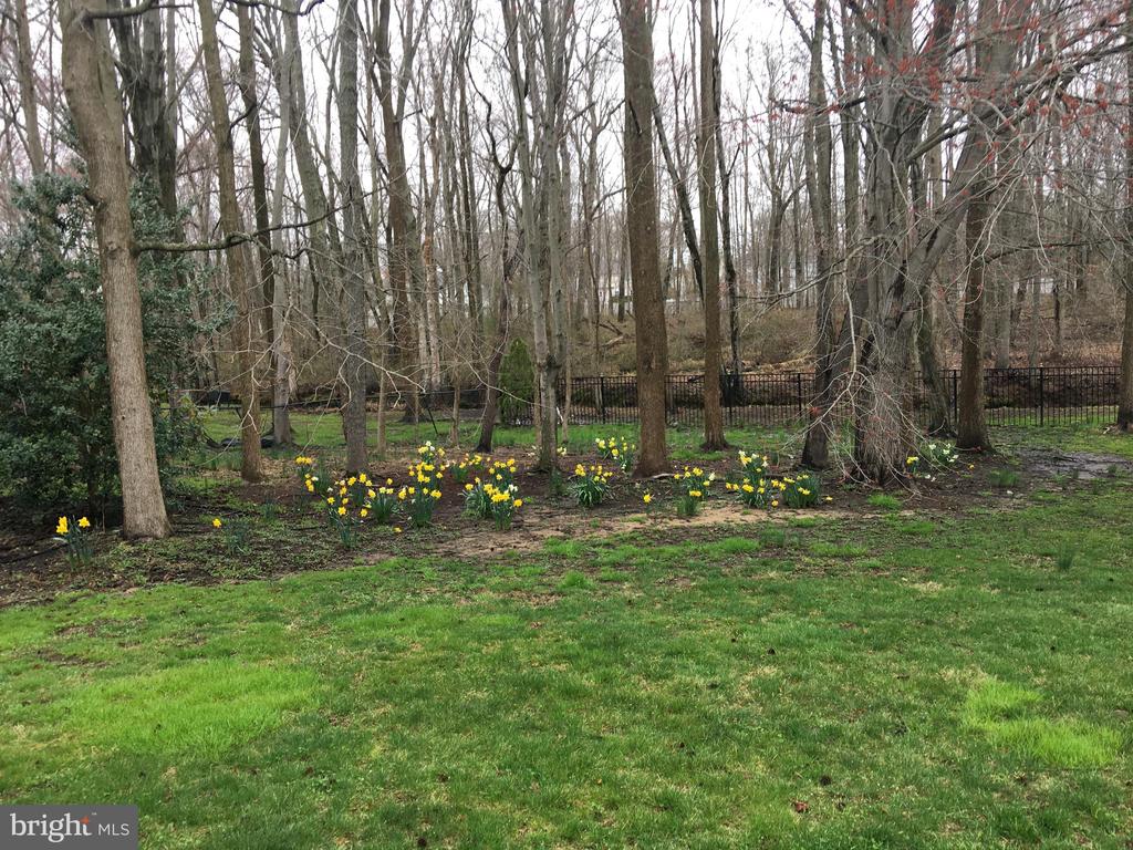 Manalapan, New Jersey, 07726, United States, 4 Bedrooms Bedrooms, ,3 BathroomsBathrooms,Residential,For Sale,1977745