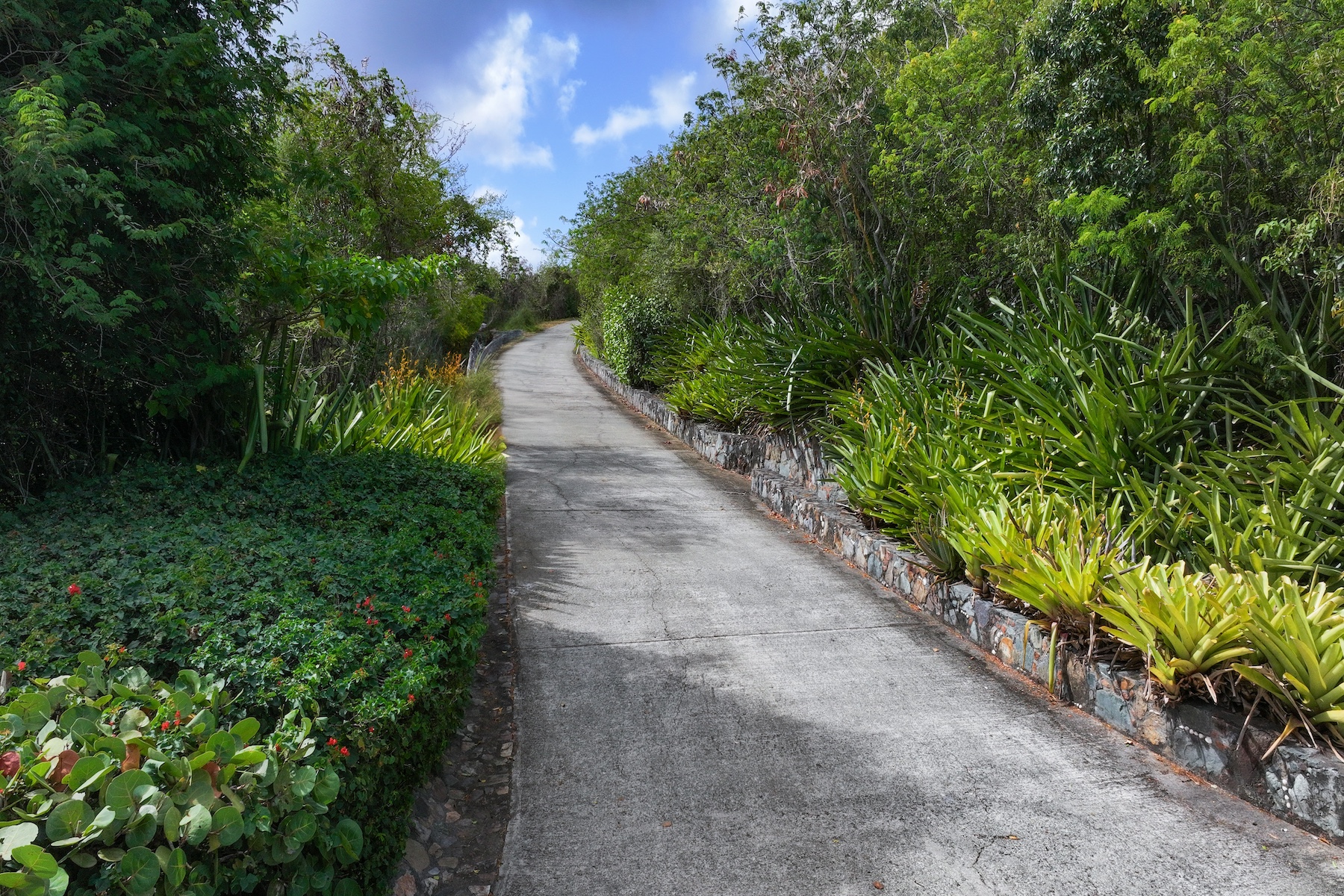  15A-9-8 Rendezvous & Ditleff - 物件實景