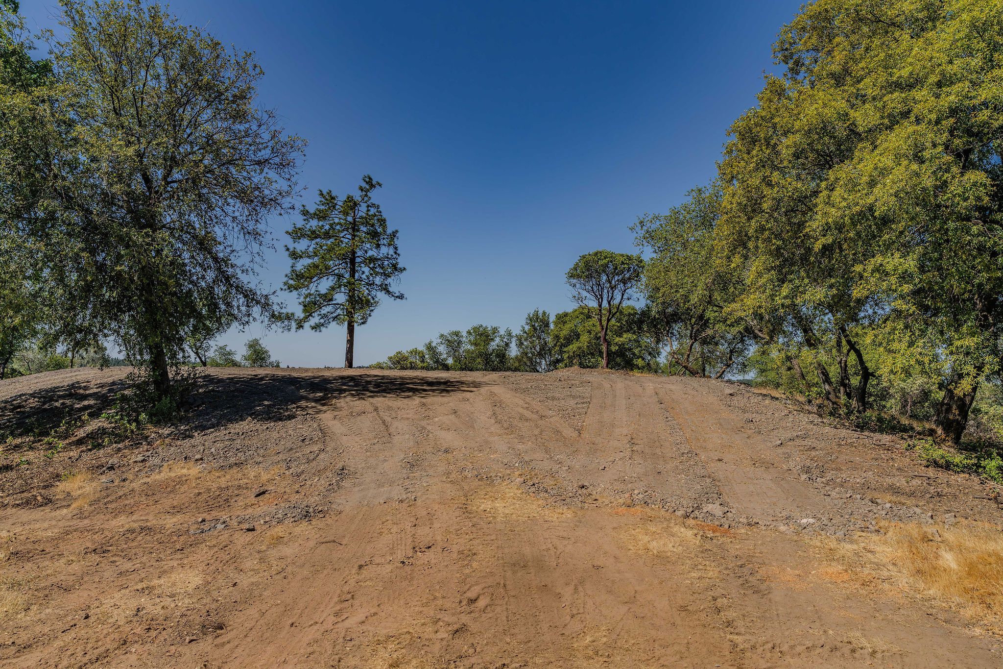  Sutter Highlands Drive, Sutter Creek, CA 95685 - 物件實景