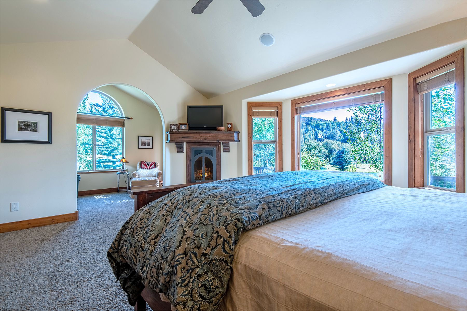  Smith Canyon Ranches Home - 物件實景