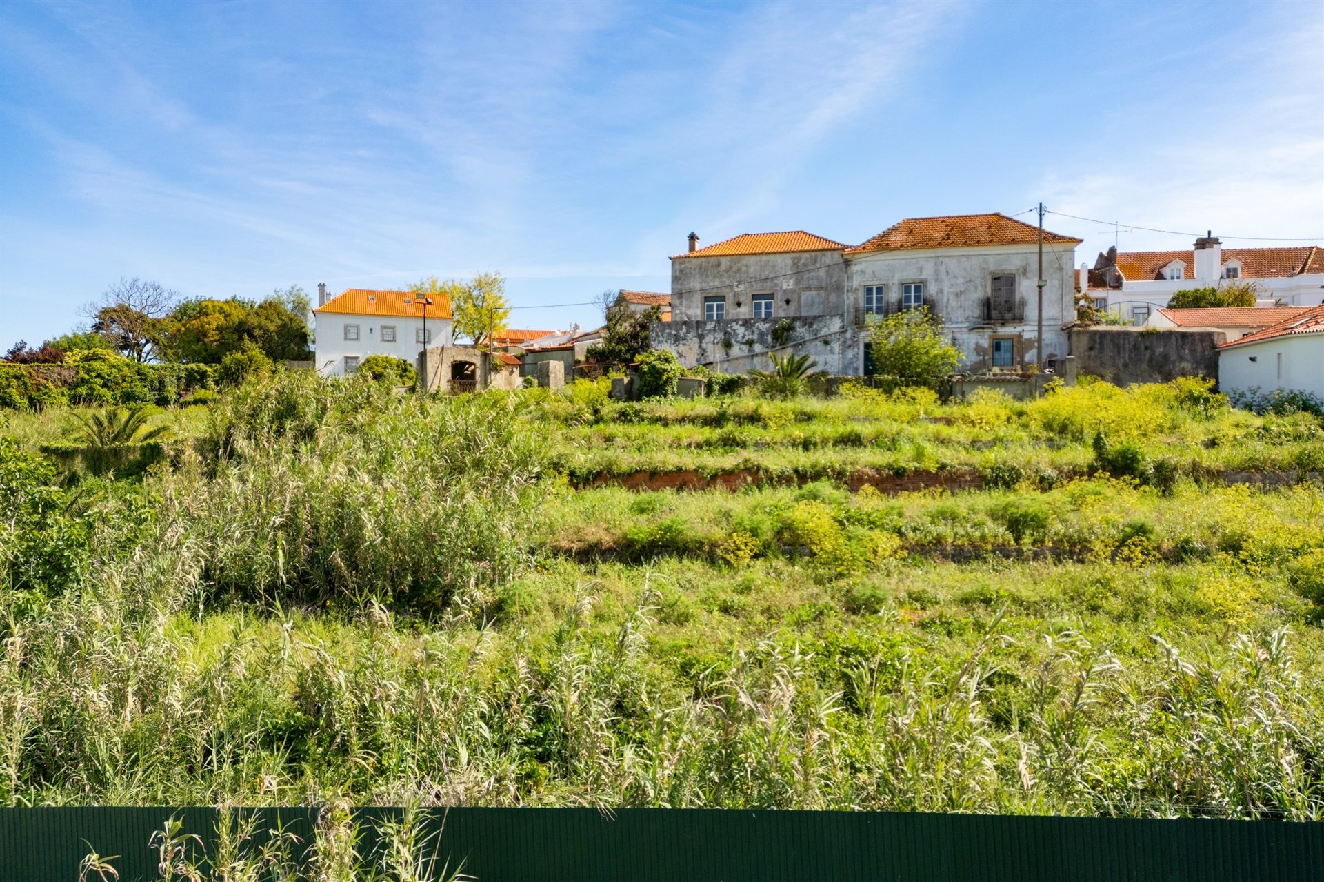  Farm for Sale - 物件實景