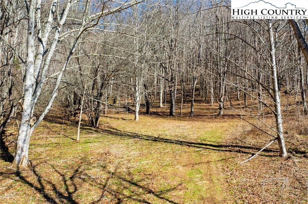 Warrensville, North Carolina, 28693, United States, ,Land,For Sale,1984173