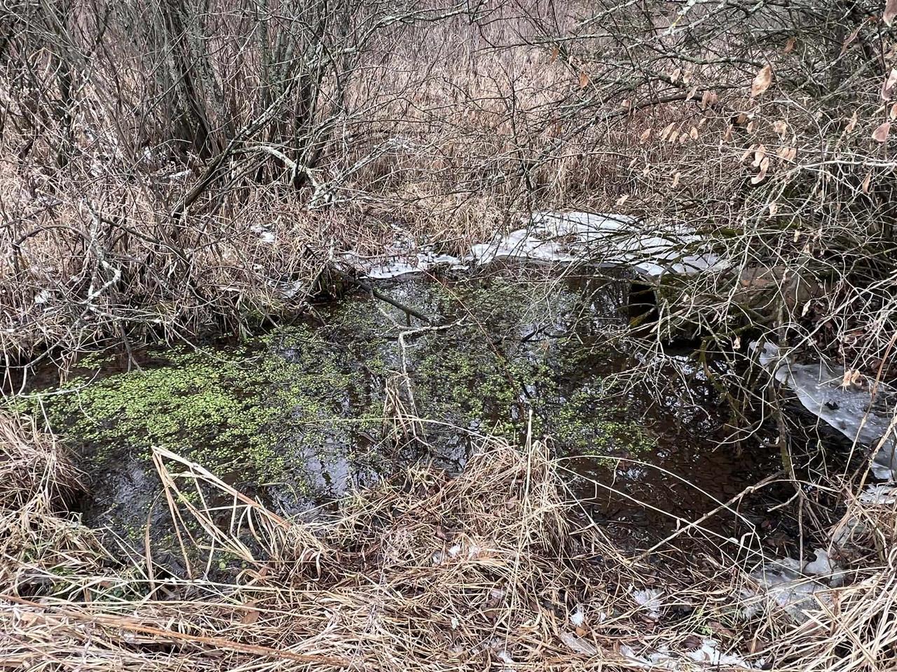 Blue River, Wisconsin, 53518, United States, 3 Bedrooms Bedrooms, ,3 BathroomsBathrooms,Residential,For Sale,2009301