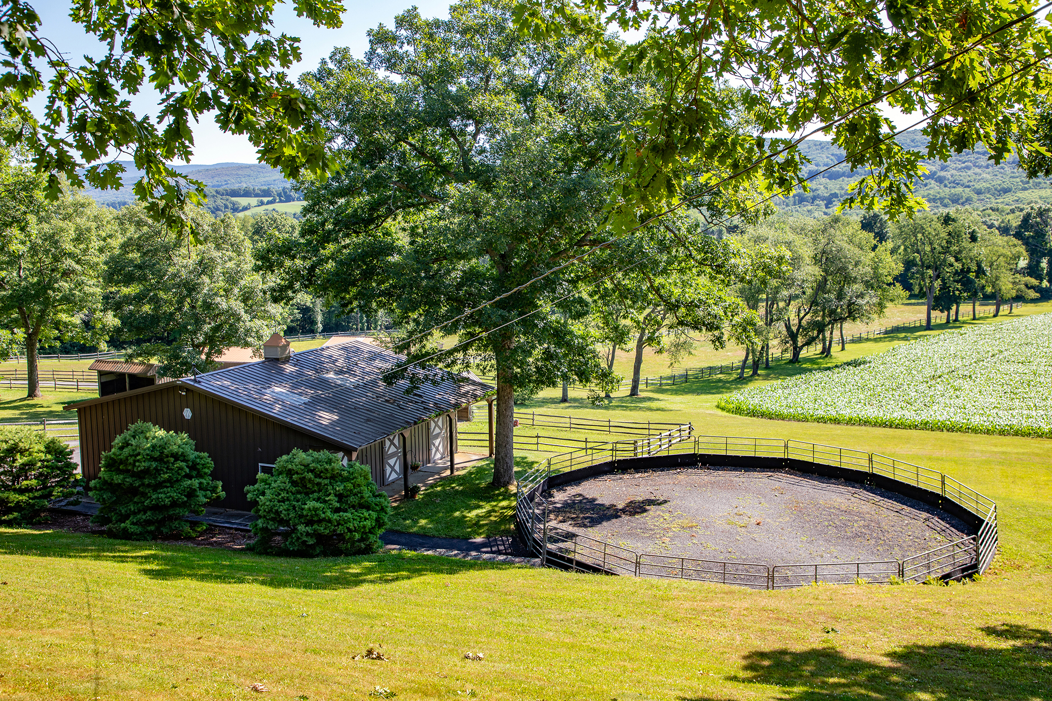  617 Bean River Road - 物件實景