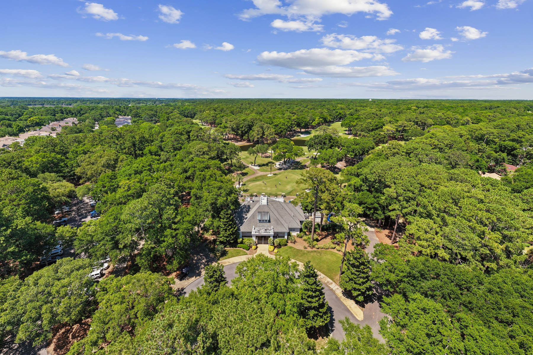  17 Balsams Court, Hilton Head Island - 物件實景