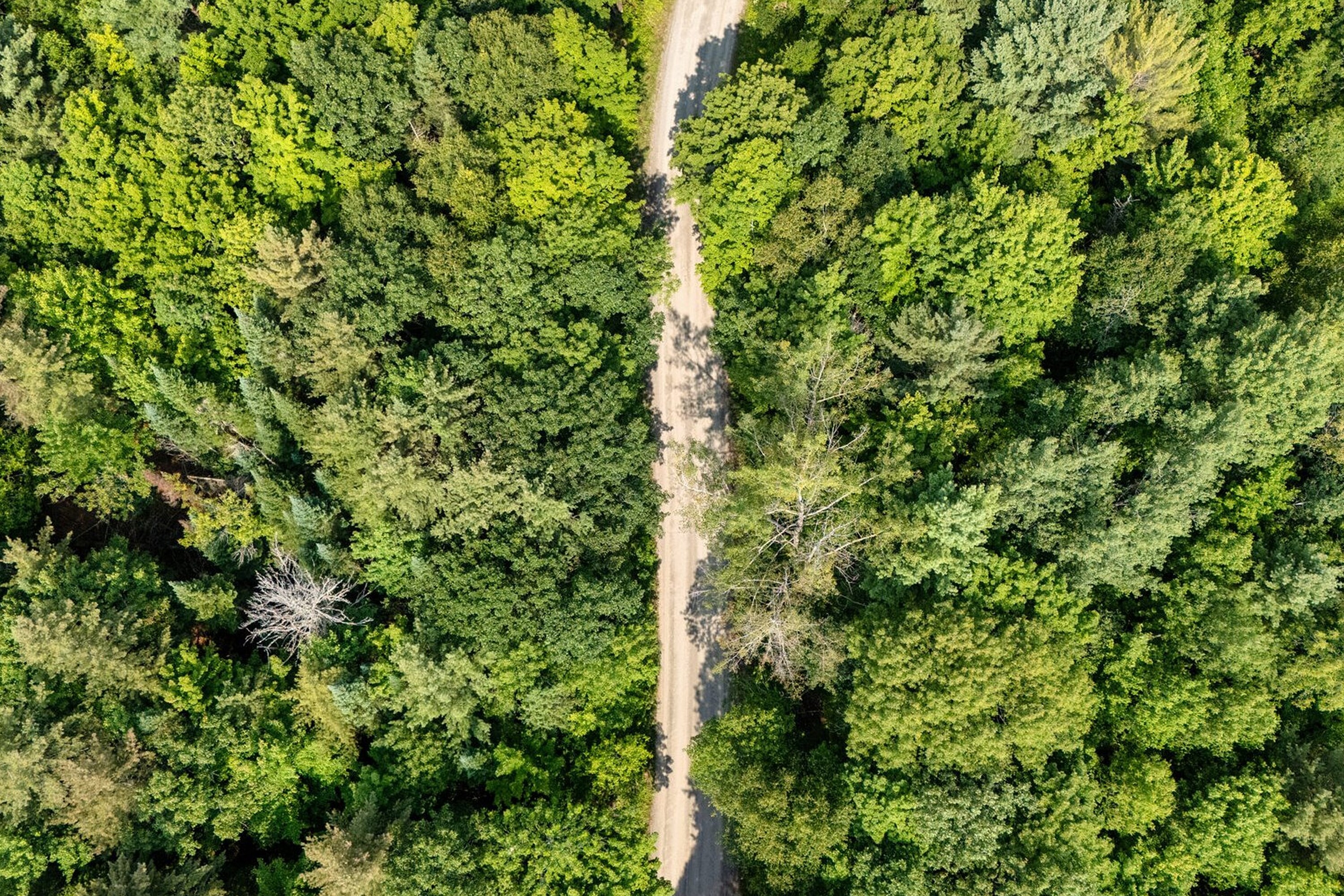  Pristine Lake of Bays Acreage - 物件實景