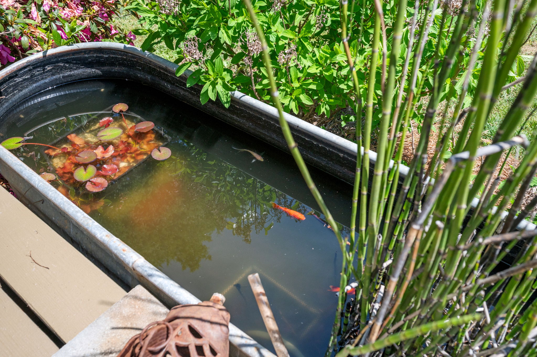  Southern Charm in Madison - 物件實景