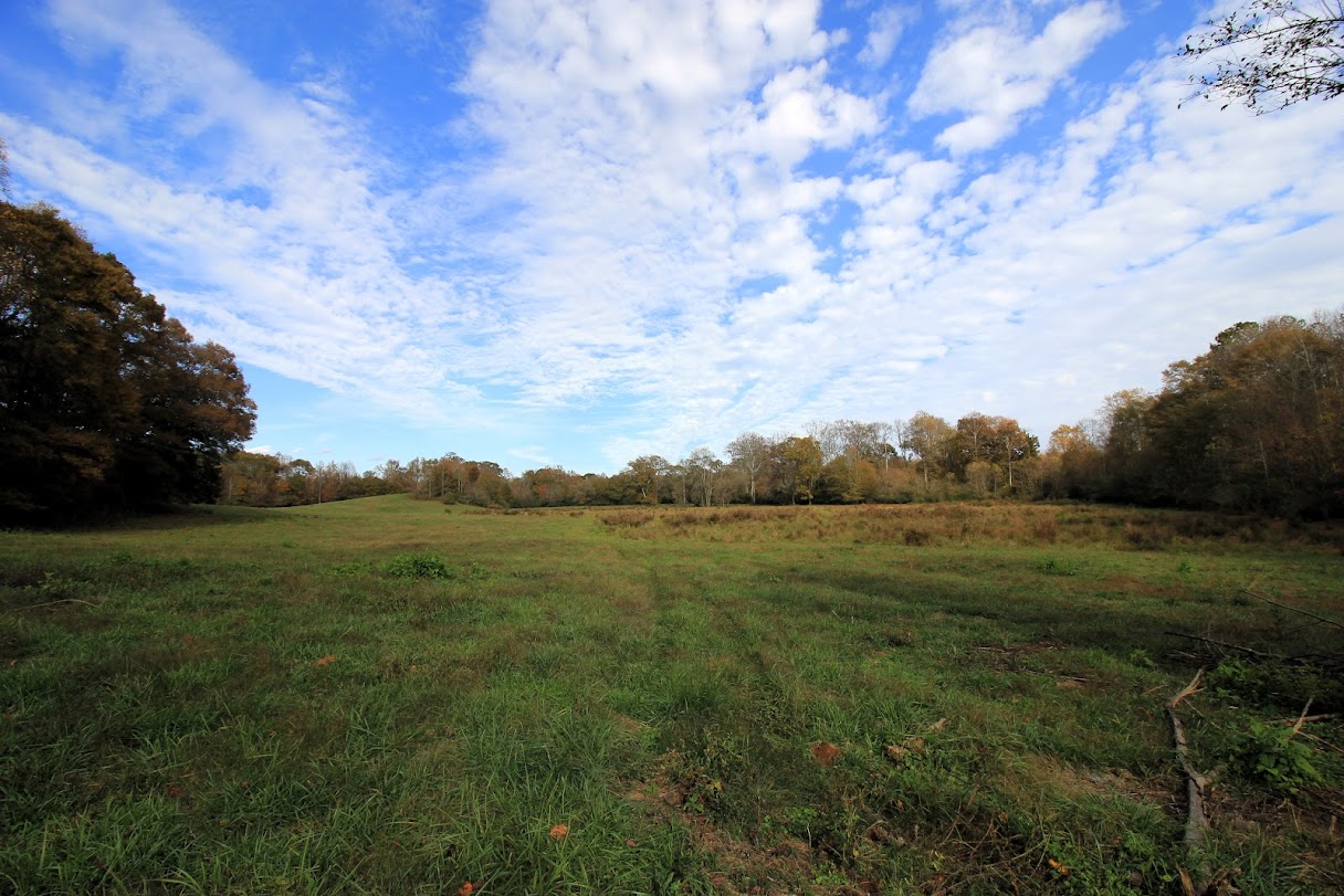 Bowdon, Georgia, 30108, United States, ,Land,For Sale,1989904