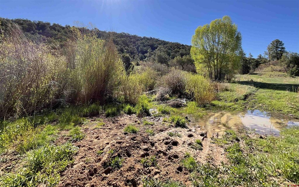 Montrose, Colorado, 81403, United States, ,Land,For Sale,1919926