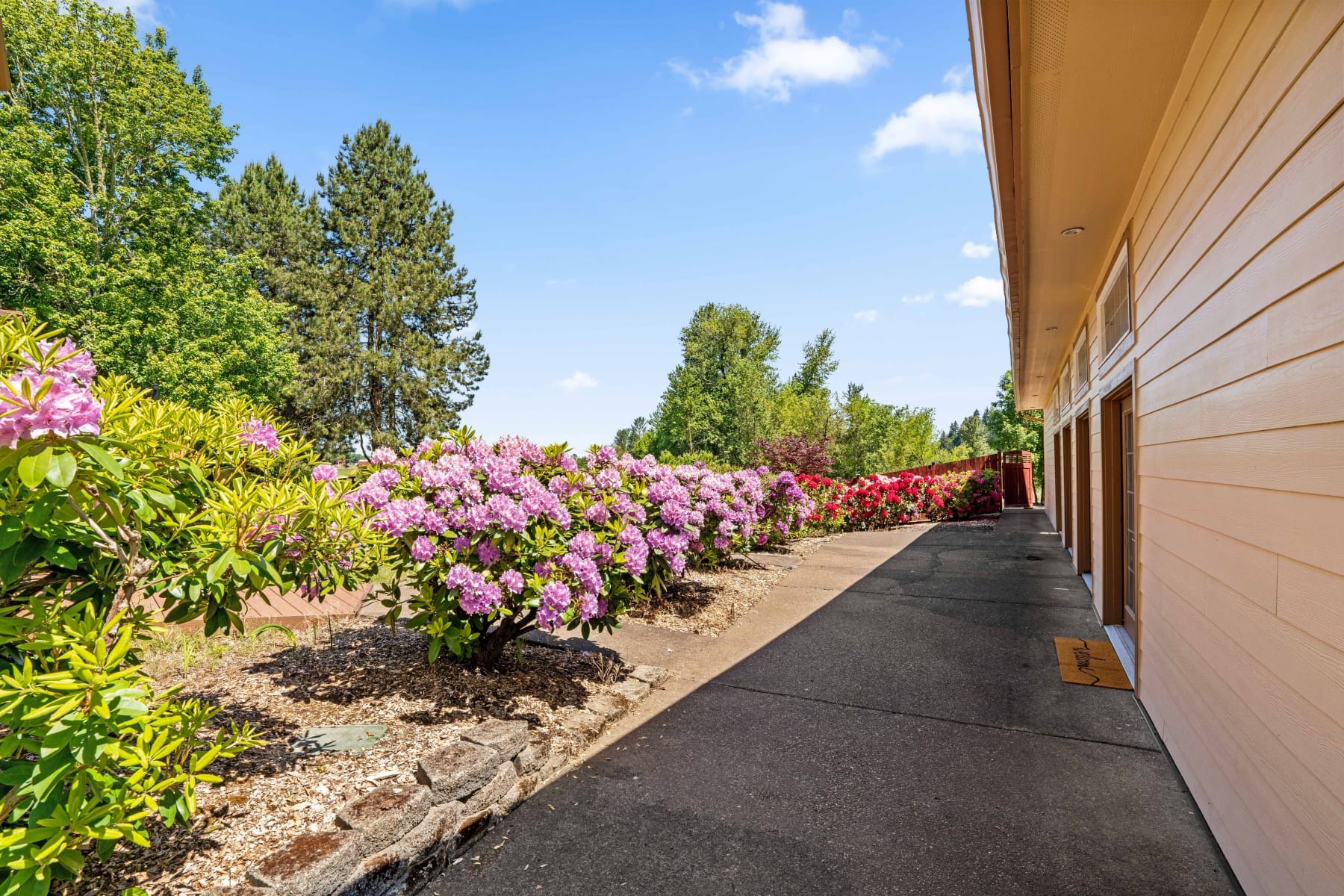  37310 Fawn DR Lebanon, OR 97355 - 物件實景