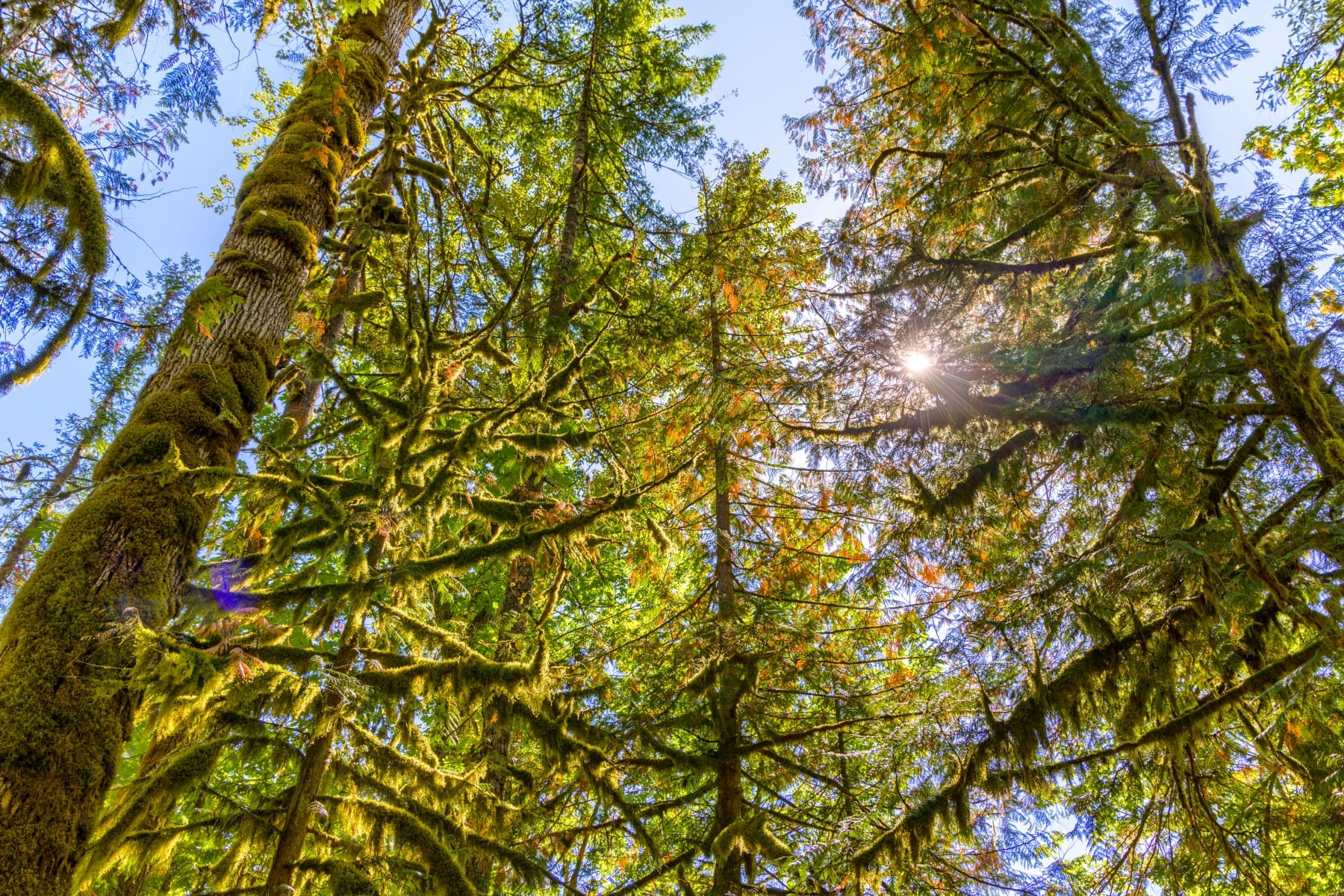  58200 E MARMOT RD Sandy, OR 97055 - 物件實景