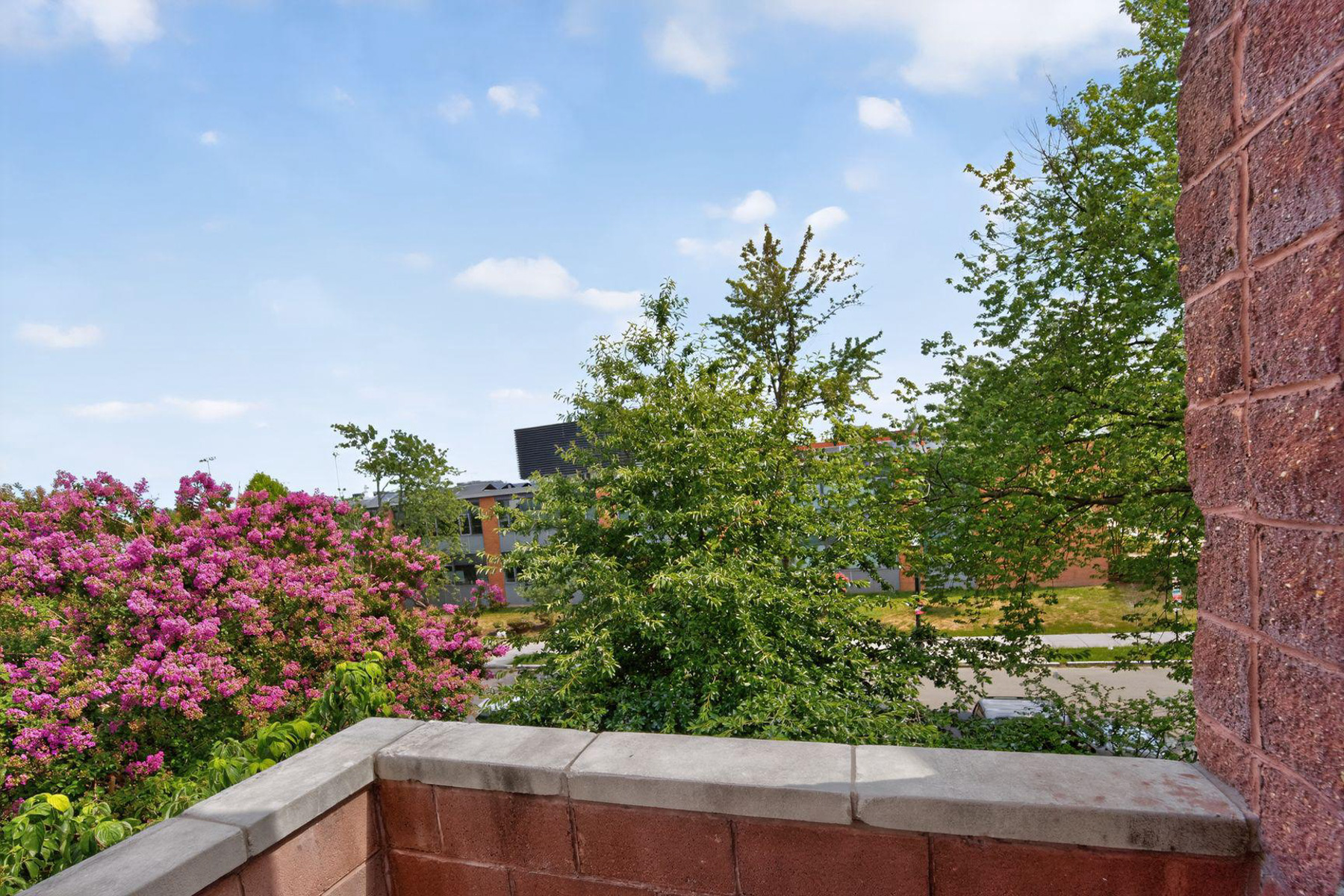 1233 S Street NW, Washington, DC, 20009 - 物件實景
