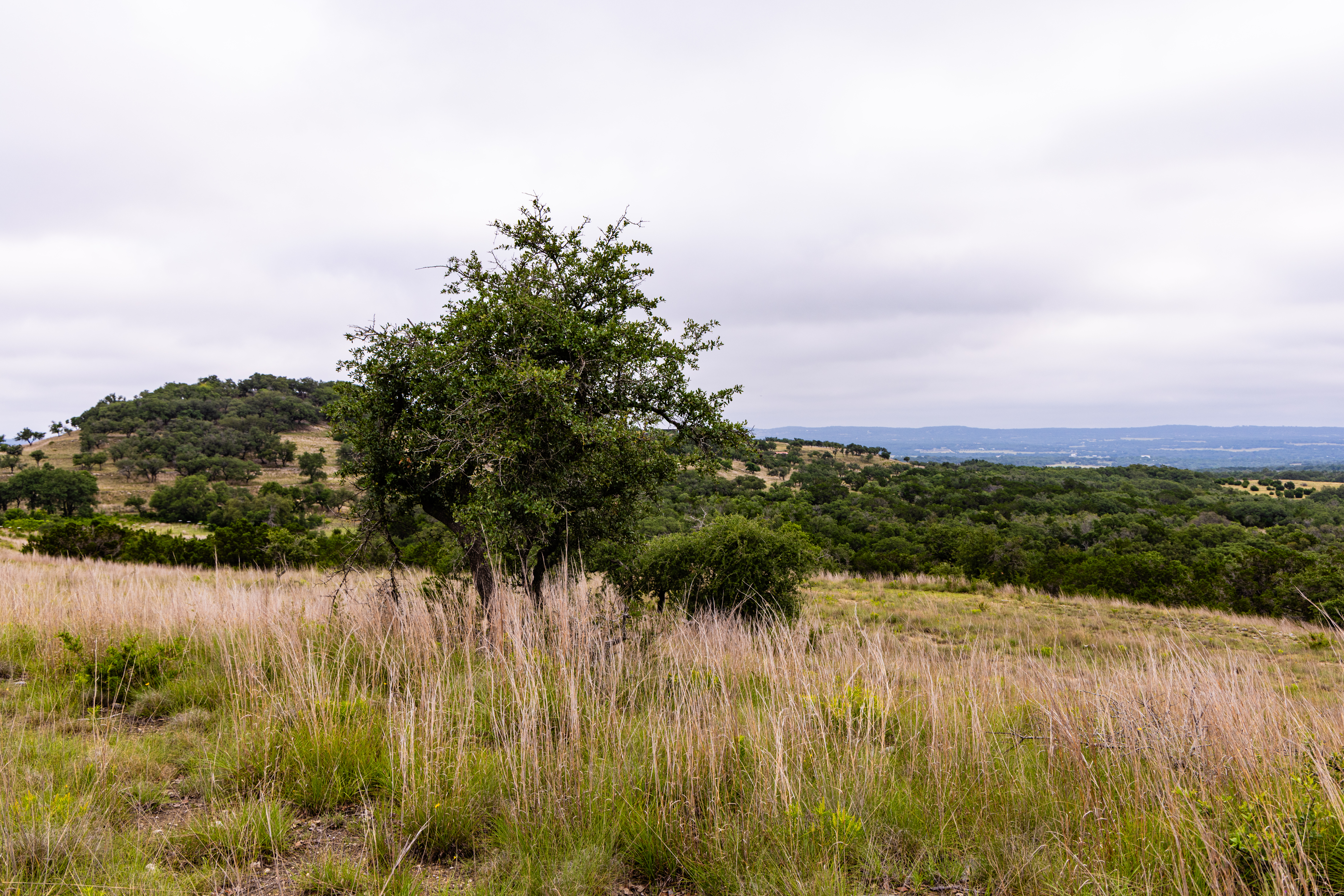  Expansive 10-Acre Lot - 物件實景
