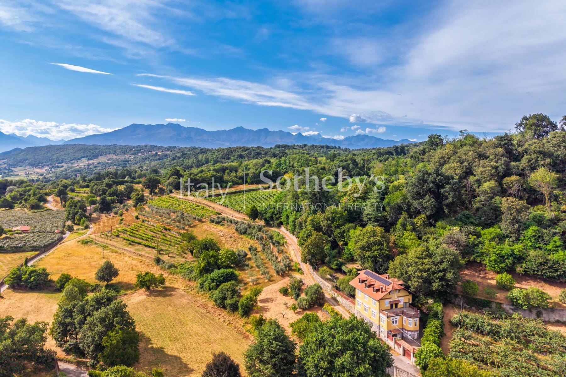  Historic villa with garden and views over Lake Viverone - 物件實景