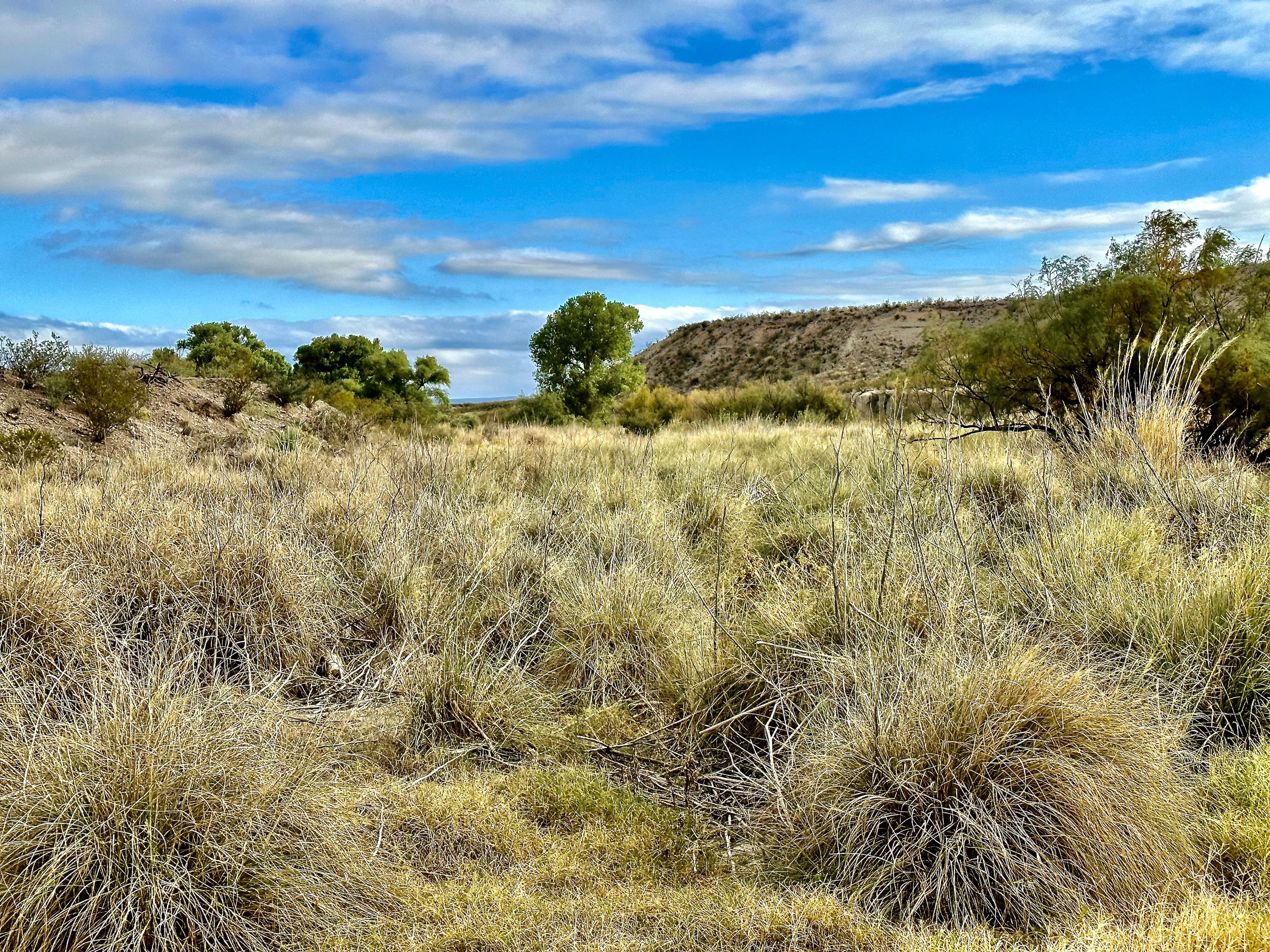  The Alamito Ranch in Presidio County - 物件實景