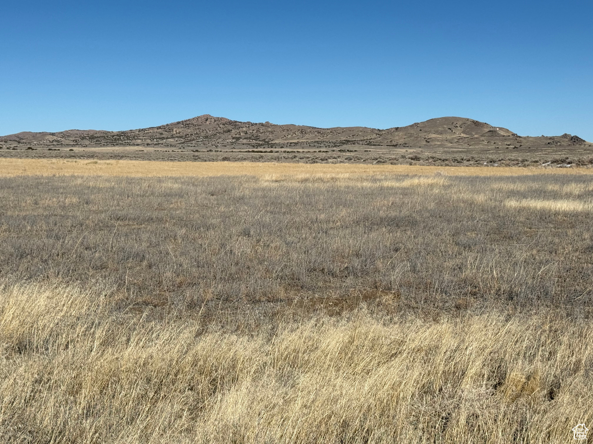 Park Valley, Utah, 84329, United States, ,Land,For Sale,1882391