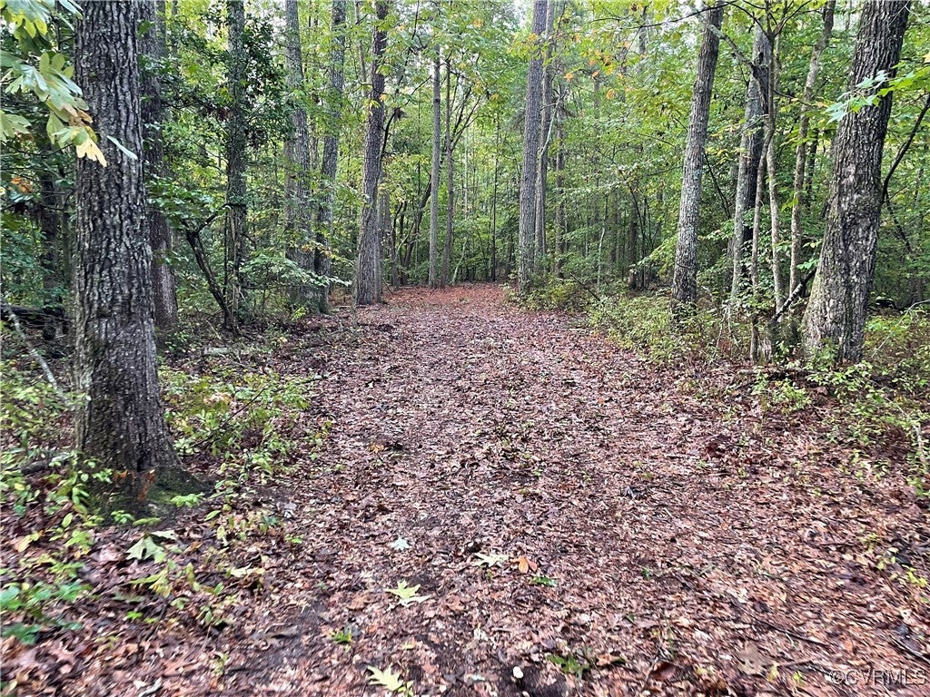 1105 Stewarts Road, Lanexa, Virginia, 23089, United States, ,Land,For Sale,1105 Stewarts Road,1632390