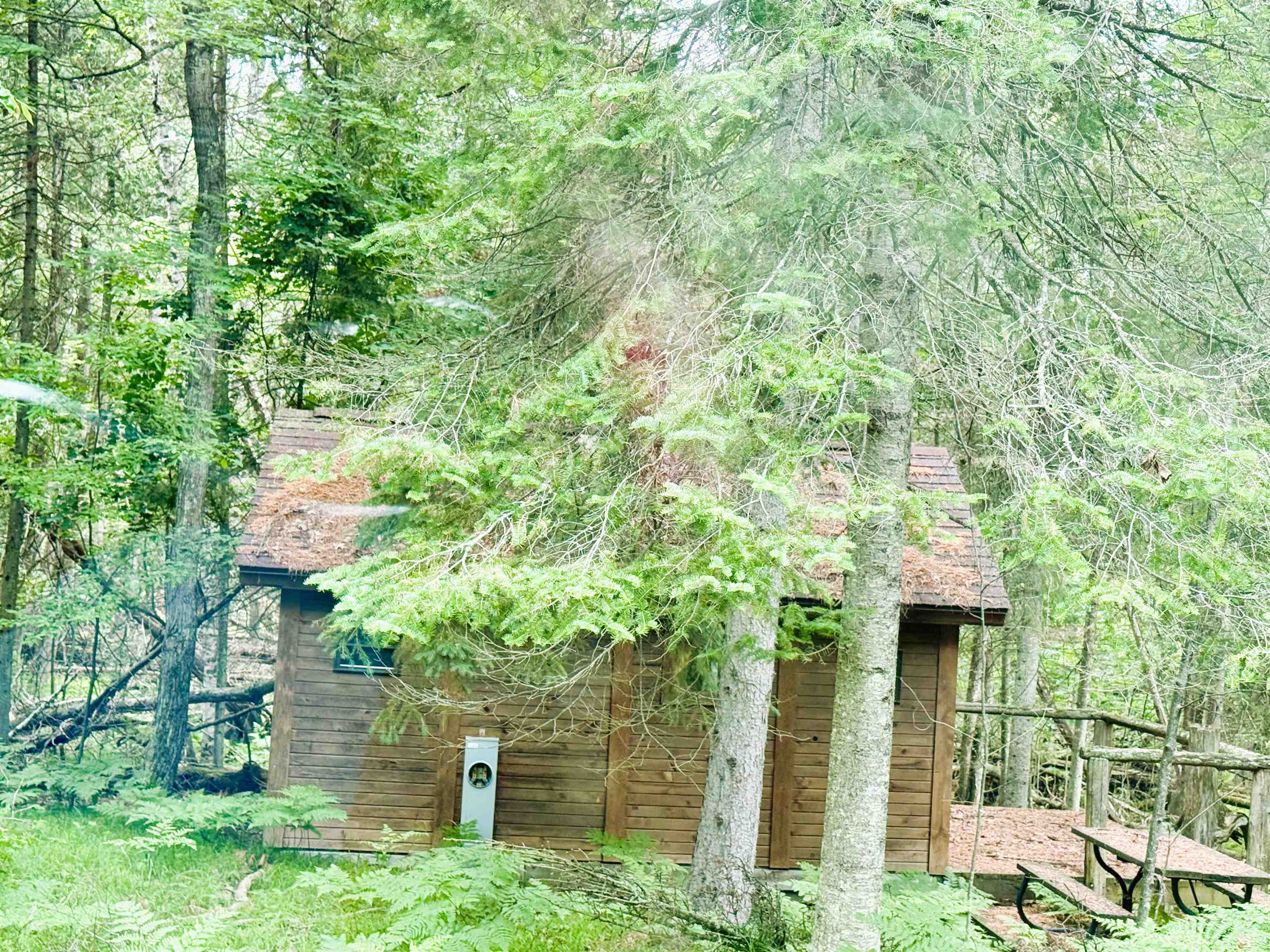 PEMBINE, Wisconsin, 54156, United States, 5 Bedrooms Bedrooms, ,4 BathroomsBathrooms,Residential,For Sale,1956791