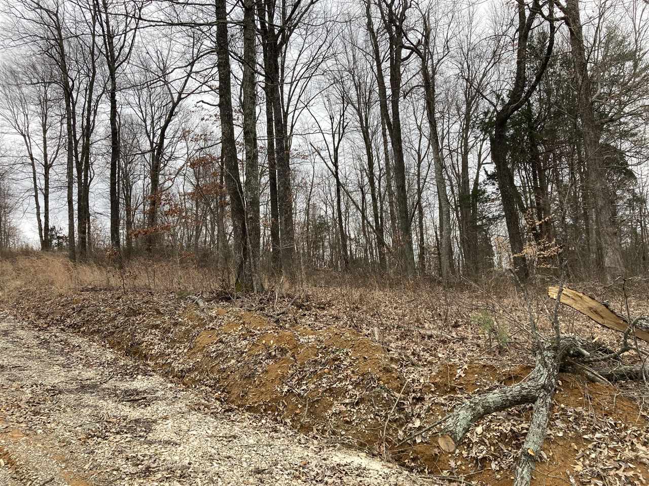 Clarkson, Kentucky, 42726, United States, ,Land,For Sale,1828562