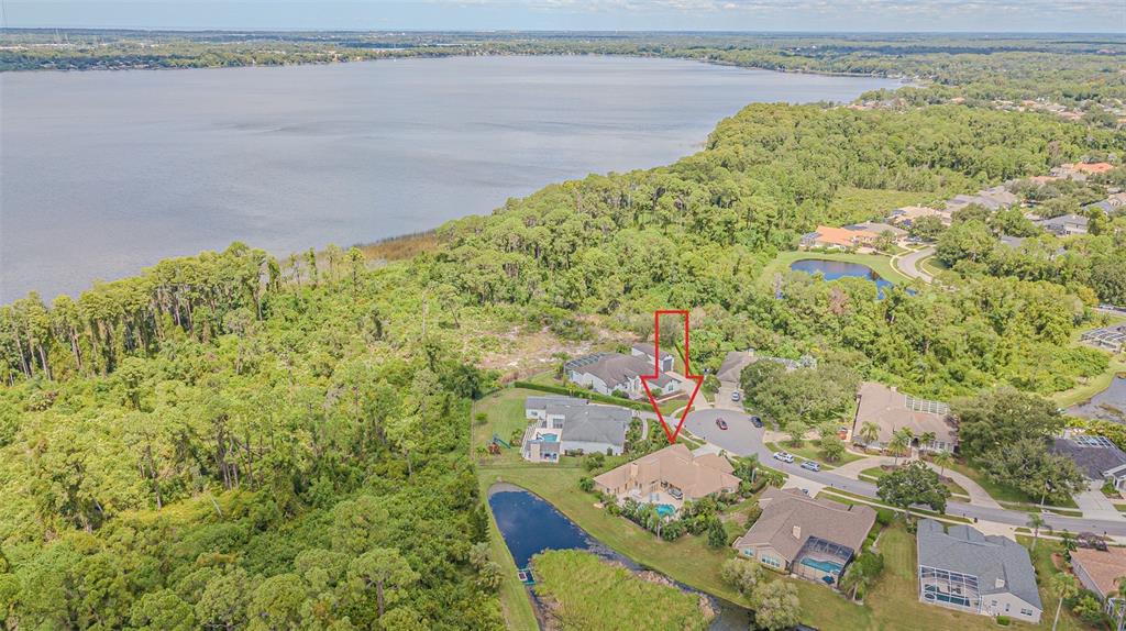 Palm Harbor, Florida, 34685, United States, 5 Bedrooms Bedrooms, ,3 BathroomsBathrooms,Residential,For Sale,1980660