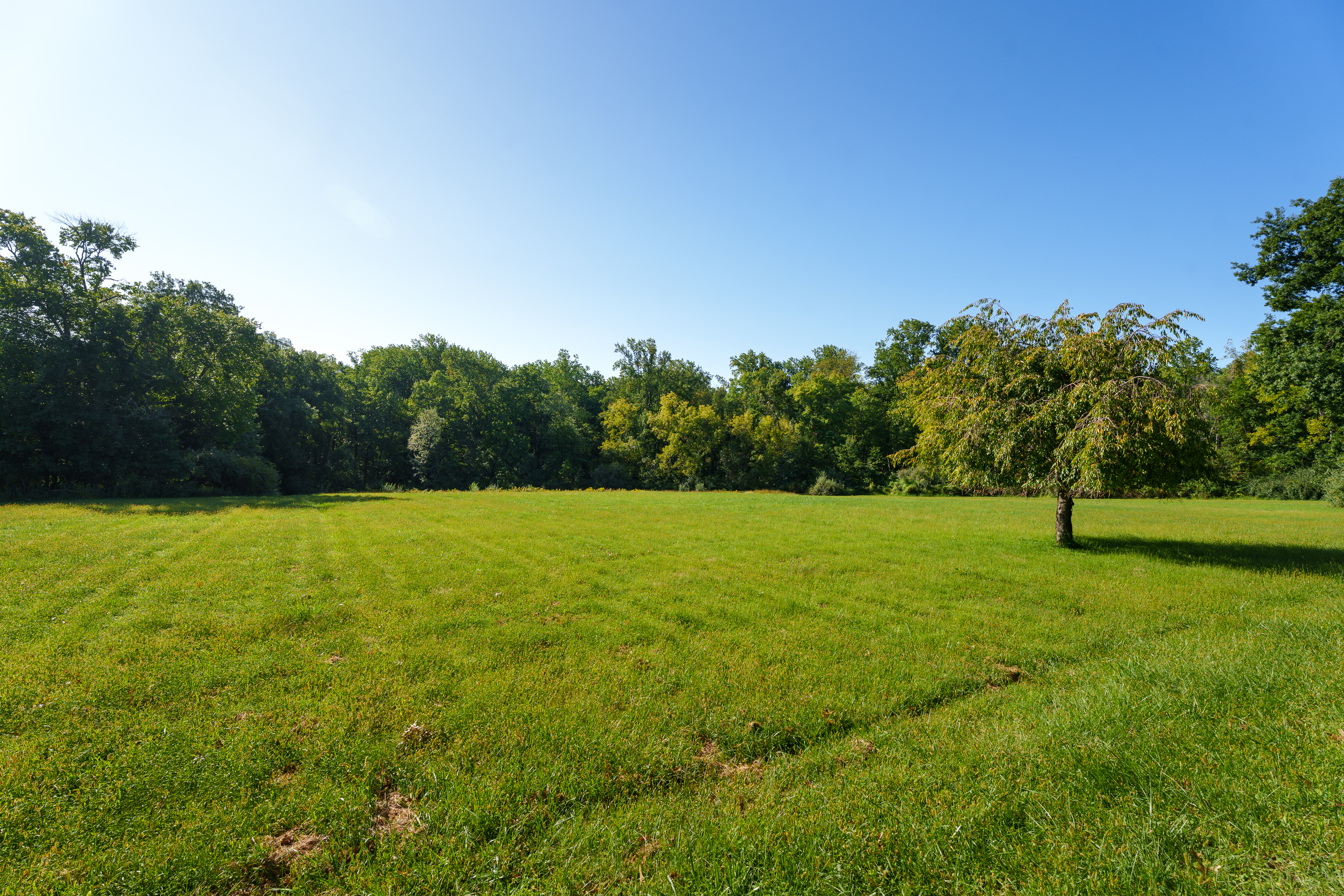  Historic Farmhouse with Nearly 95 Acres - 物件實景
