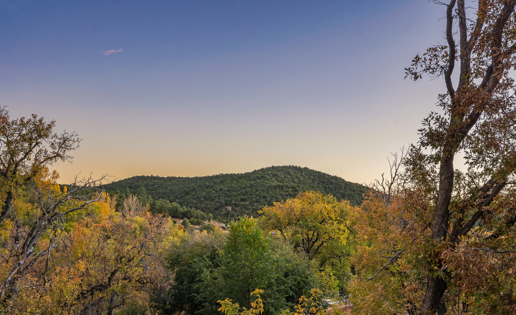  1612 Cerro Gordo Road - 物件實景