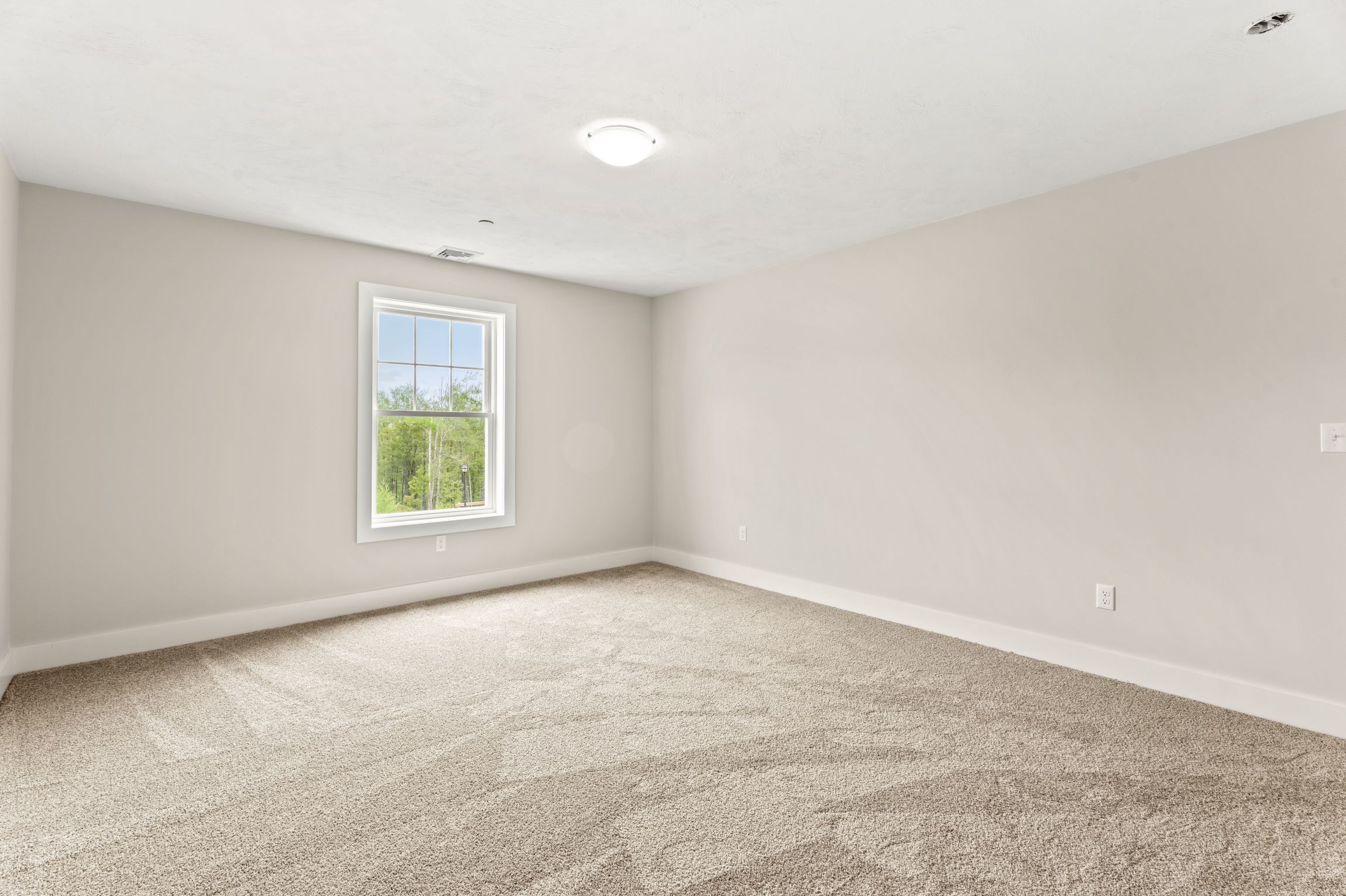  99 Driftwood Circle, Sandown, NH, 03873 - 物件實景